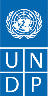 Job Opportunity (Program Analyst) @UNDP: Apply Now!