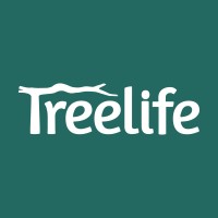 Job Opportunity (Senior Legal Associate) @ Treelife: Apply Now!