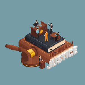 What Does a Competition Lawyer Do in India?
