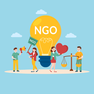 NGO and Human Rights Internships for Law Students